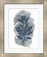 Leaf Silhouette 1 Fine Art Print