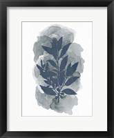 Leaf Silhouette 1 Framed Print