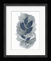 Leaf Silhouette 2 Framed Print