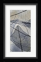 Transparent 1 Fine Art Print