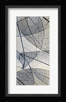 Transparent 2 Framed Print