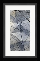 Transparent 3 V5 Framed Print