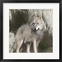 Wildlife 3 Framed Print
