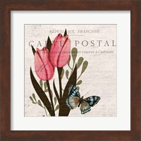 Tulip Postcard 1 Fine Art Print