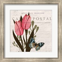Tulip Postcard 1 Fine Art Print