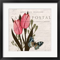 Tulip Postcard 1 Framed Print