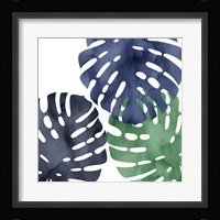 Shades 2 Framed Print