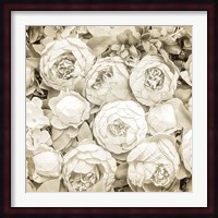 Dried Roses Fine Art Print