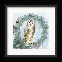 Winter Owl 3 Framed Print