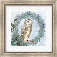 Winter Owl 3 Fine Art Print