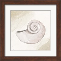 Calming Shell 1 Fine Art Print