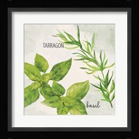 Fresh Herbs 1 Fine Art Print