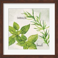 Fresh Herbs 1 Fine Art Print