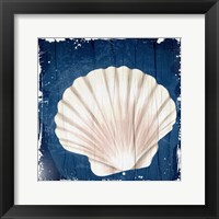 Coastal Shells 2 Fine Art Print