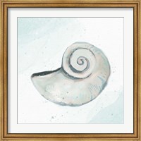 Seashore Shell 1 Fine Art Print