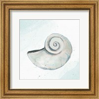 Seashore Shell 1 Fine Art Print