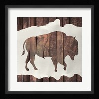 Forest Walk 3 Framed Print