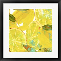 Tropical Orchard 5 Framed Print