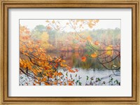 Autumn Pond Fine Art Print