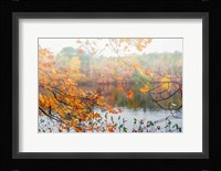 Autumn Pond Fine Art Print