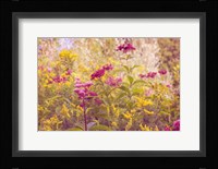 Plum and Mustard Wildflowers Fine Art Print