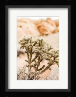Borjas Fine Art Print