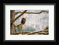 Trail Fine Art Print