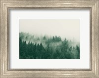 Emerald Forest No. 1 Fine Art Print