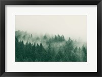 Emerald Forest No. 1 Fine Art Print