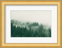 Emerald Forest No. 1 Fine Art Print