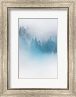 Enchanted Forest No. 1 Fine Art Print
