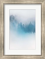 Enchanted Forest No. 1 Fine Art Print