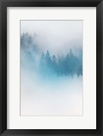 Enchanted Forest No. 1 Fine Art Print