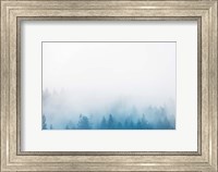 Enchanted Forest No. 2 Fine Art Print