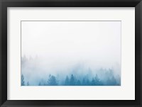 Enchanted Forest No. 2 Fine Art Print