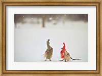 Weathered Feathered Friends Fine Art Print