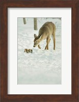 Winter Squirrel and Deer Fine Art Print