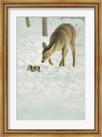 Winter Squirrel and Deer Fine Art Print