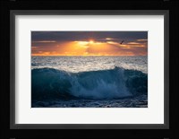 Pelican at Dawn Fine Art Print