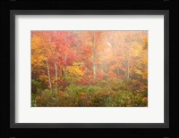 Soft Pallet Fine Art Print