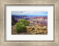 Grand Canyon Medicine Fine Art Print