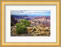 Grand Canyon Medicine Fine Art Print