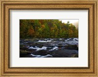 Autumn on the Tellico River Fine Art Print