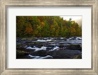 Autumn on the Tellico River Fine Art Print