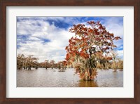 Fall in the Swamp Fine Art Print