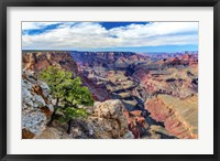 Standing on Navajo Point-Grand Canyon National Park Fine Art Print