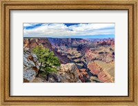 Standing on Navajo Point-Grand Canyon National Park Fine Art Print