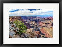 Standing on Navajo Point-Grand Canyon National Park Fine Art Print