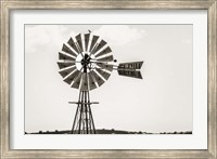 Bird on a Windmill Fine Art Print