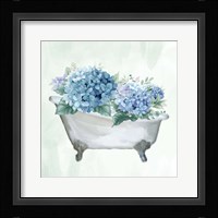 Hydrangea Bath 1 Framed Print